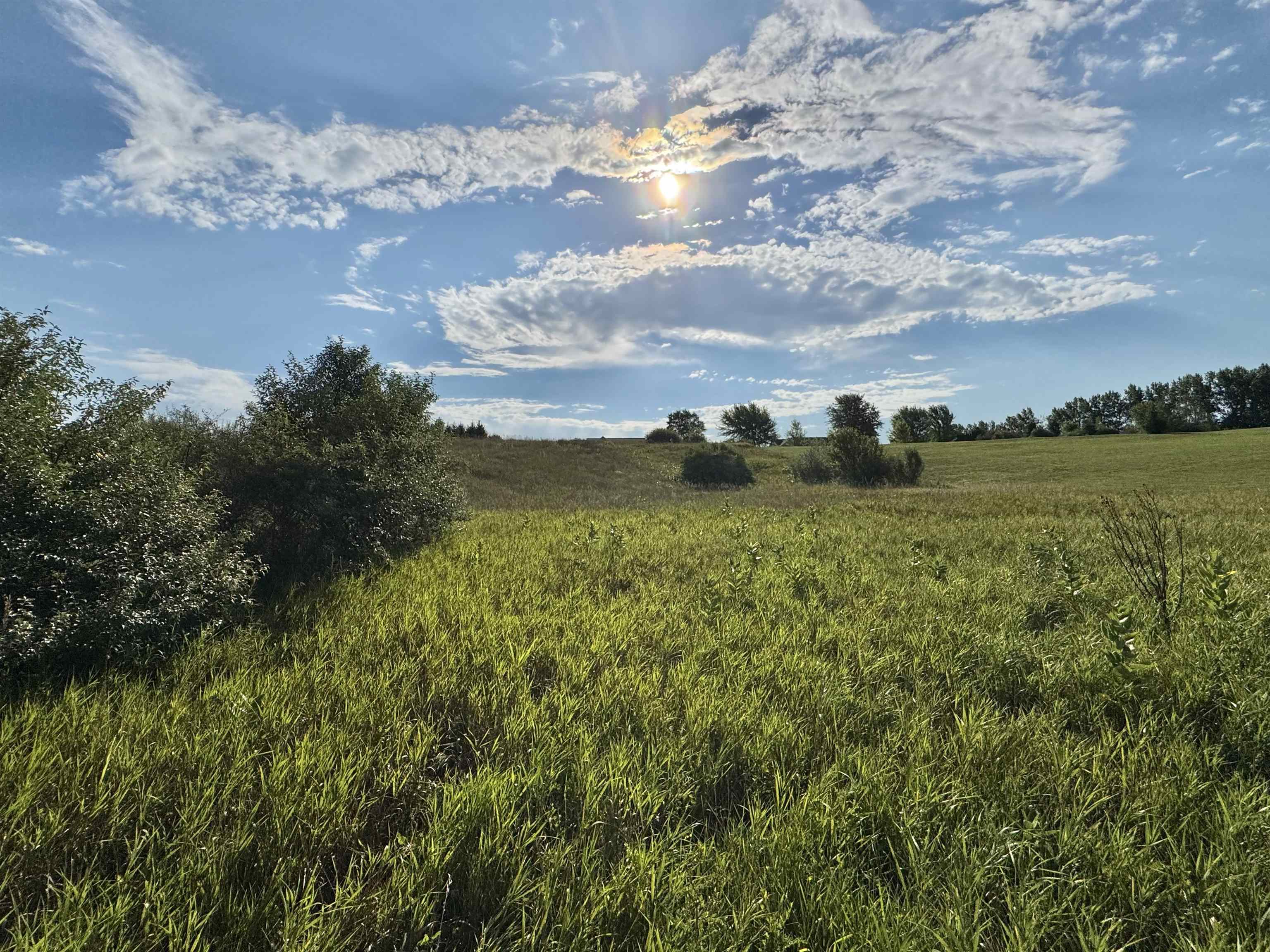 2231 Tyler Hills Drive