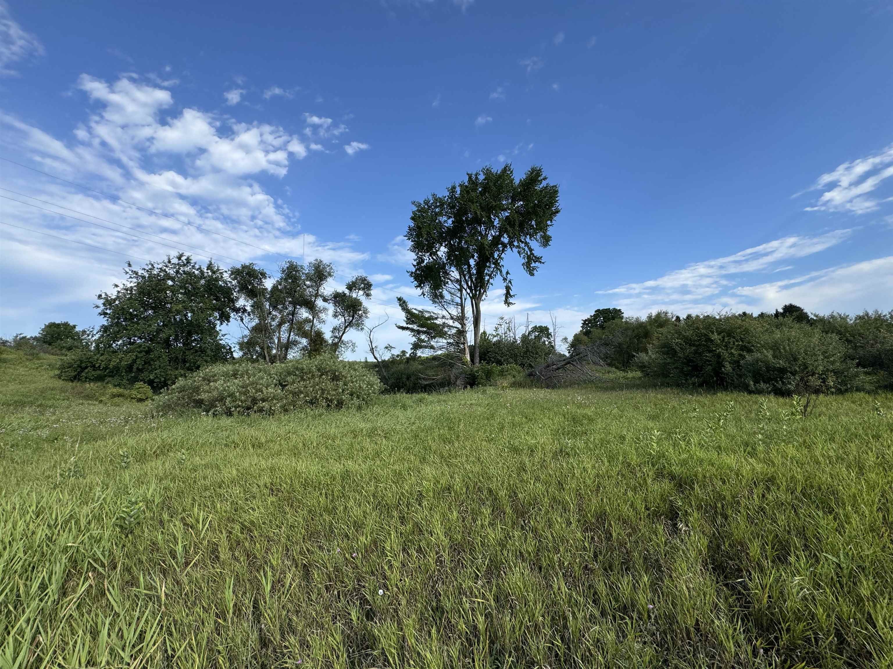 2231 Tyler Hills Drive