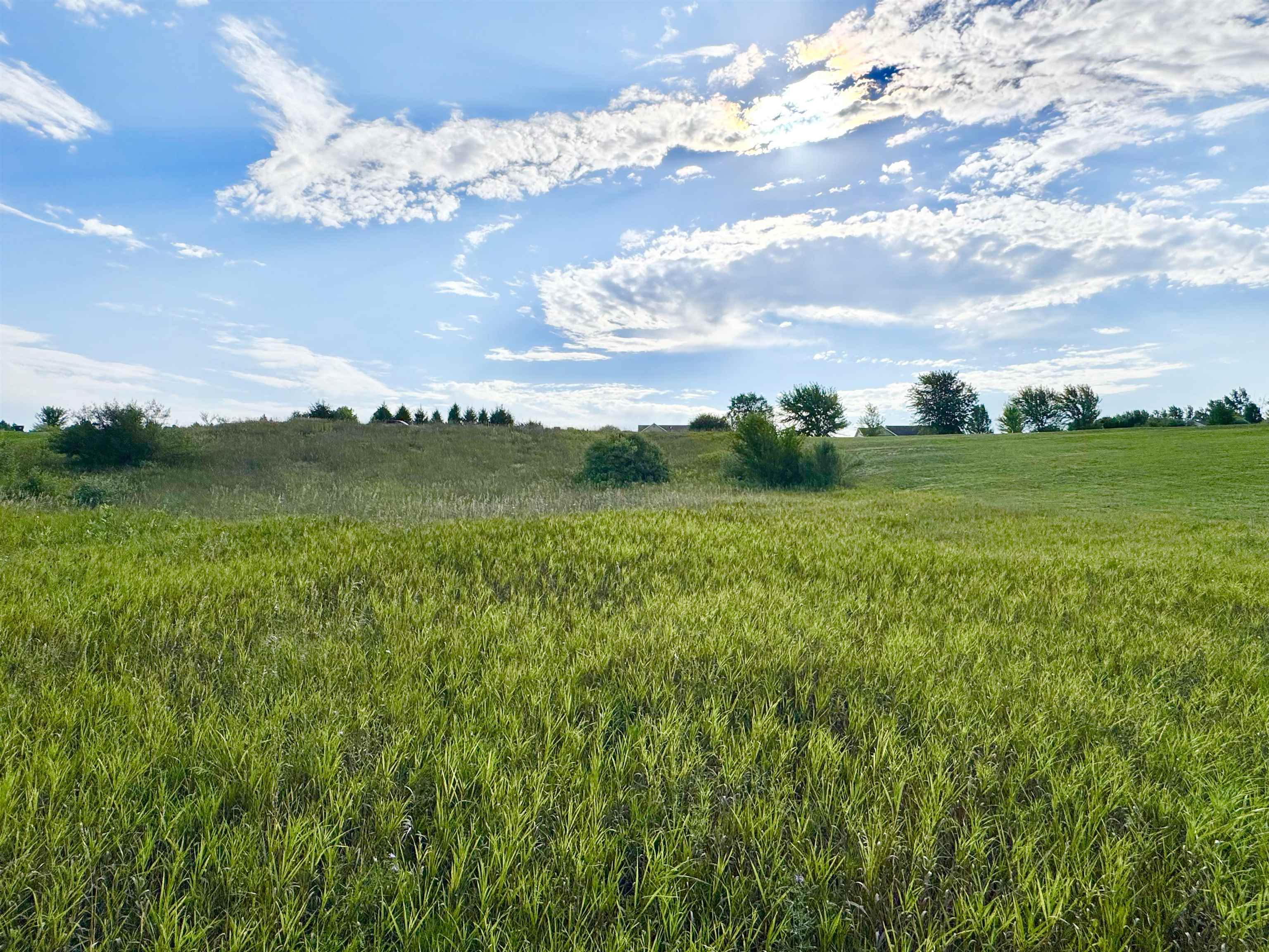 2231 Tyler Hills Drive