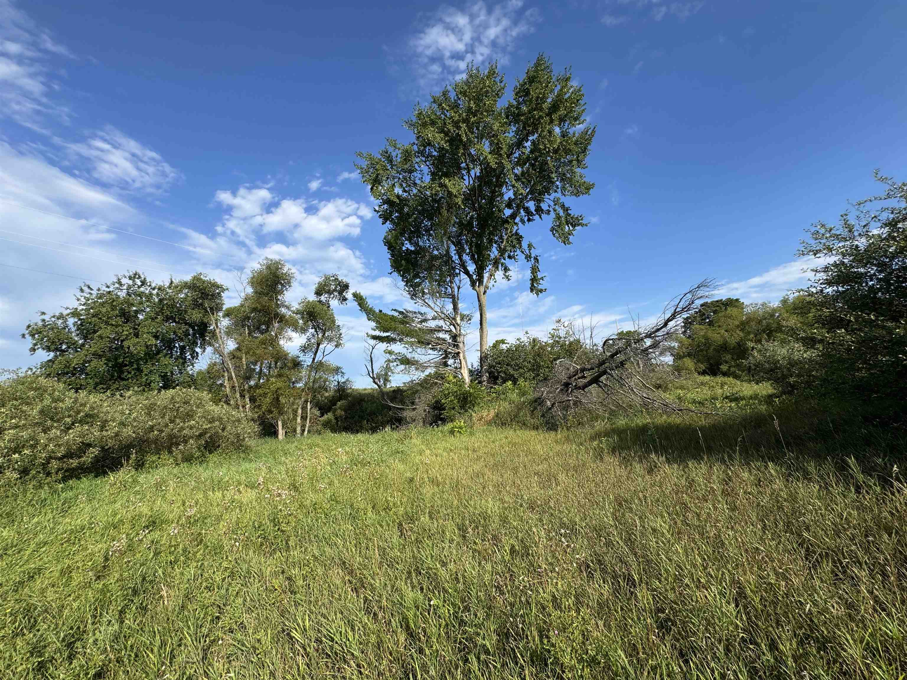 2231 Tyler Hills Drive