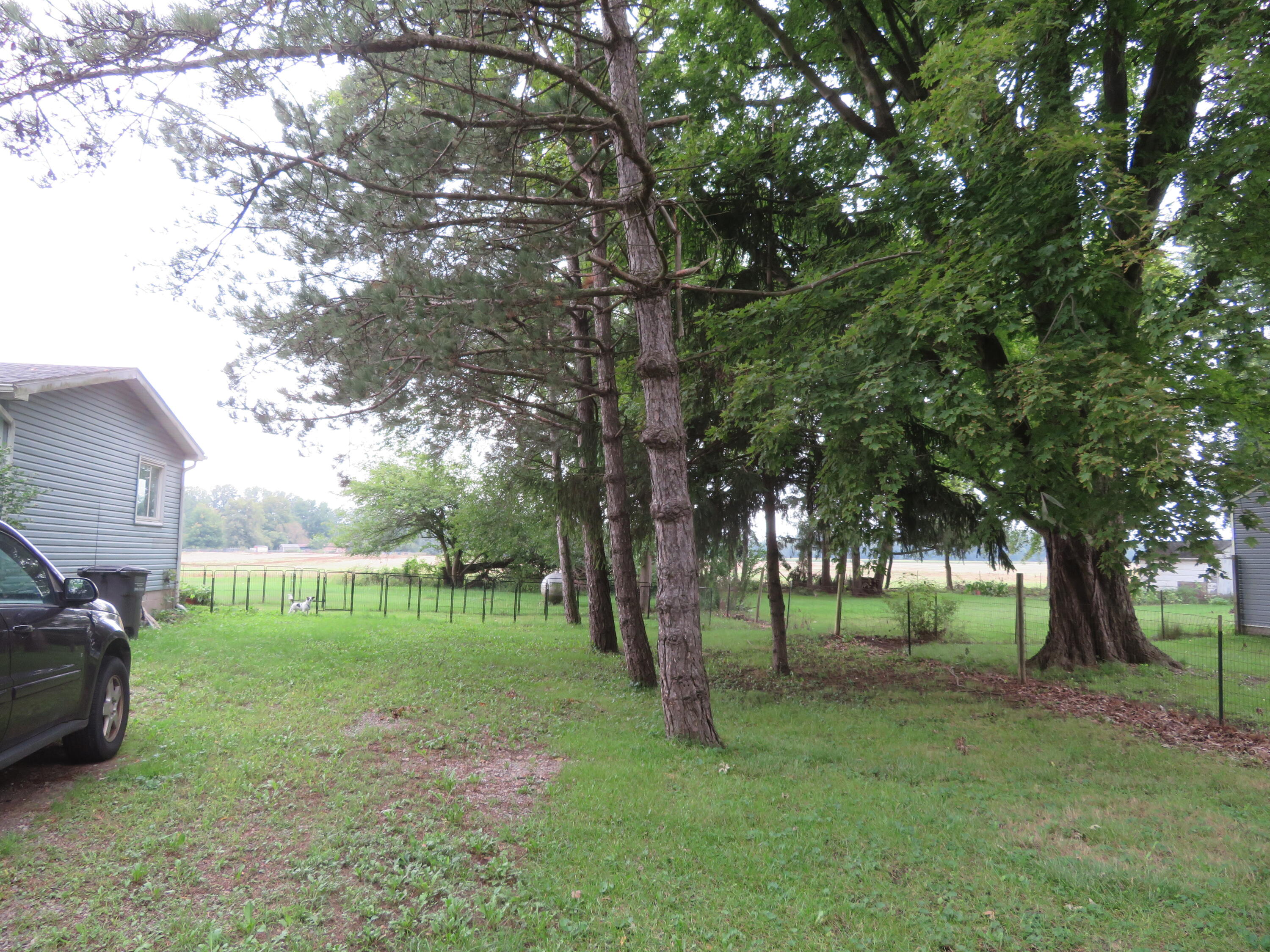 16788 Ida West Road