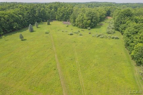 18250 Mahrle Road Manchester Township MI 48158