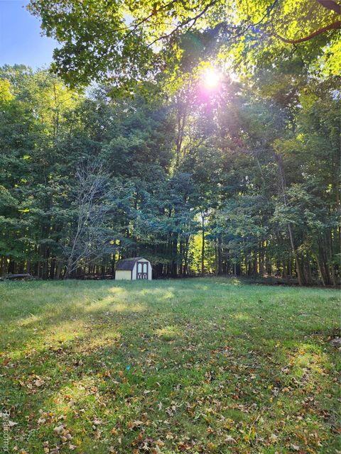 15973 Walnut Street Buchanan Township MI 49107