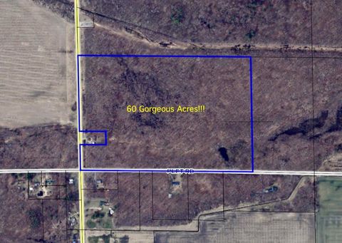 V/L Chapin Road Chapin Township MI 48831