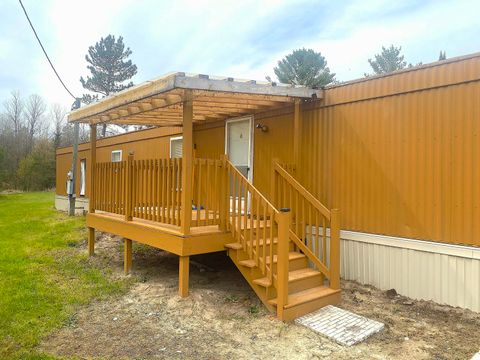 1570 Ryno Road Big Creek Township MI 48636