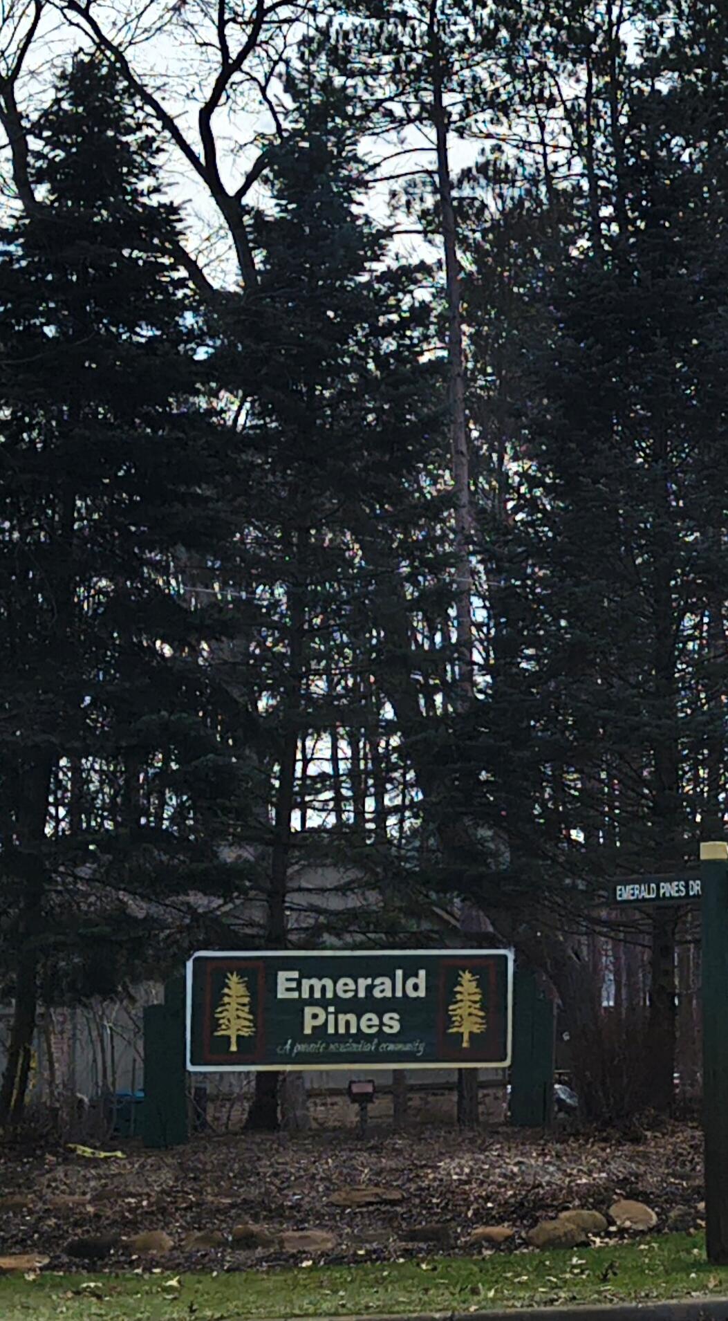 4031 Emerald Pines Drive