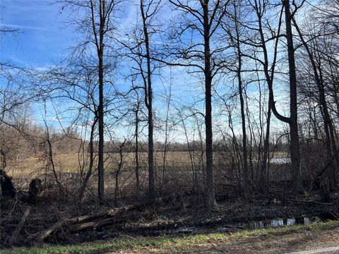10 Acres Vacant Land Vernor Road Mayfield Township MI 48446