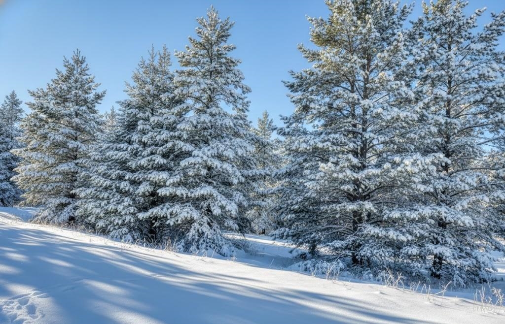 20.71 Spruce Hollow Trace