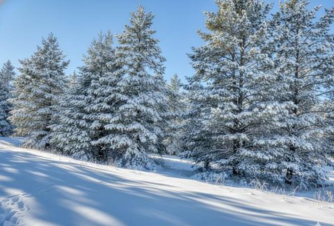 20.71 Spruce Hollow Trace Fife Lake Township MI 49633