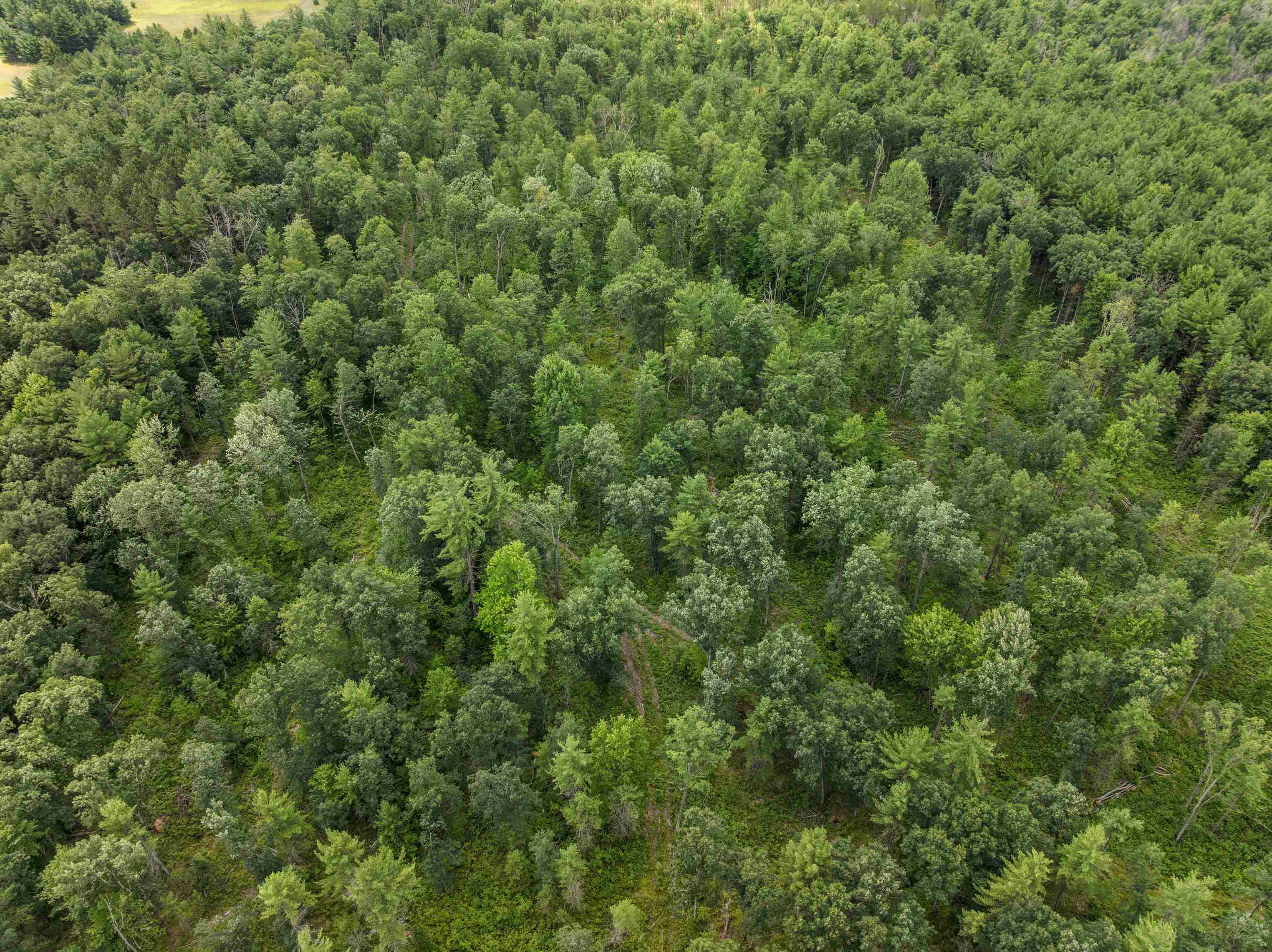 30 Acres W 48 1/2 Road