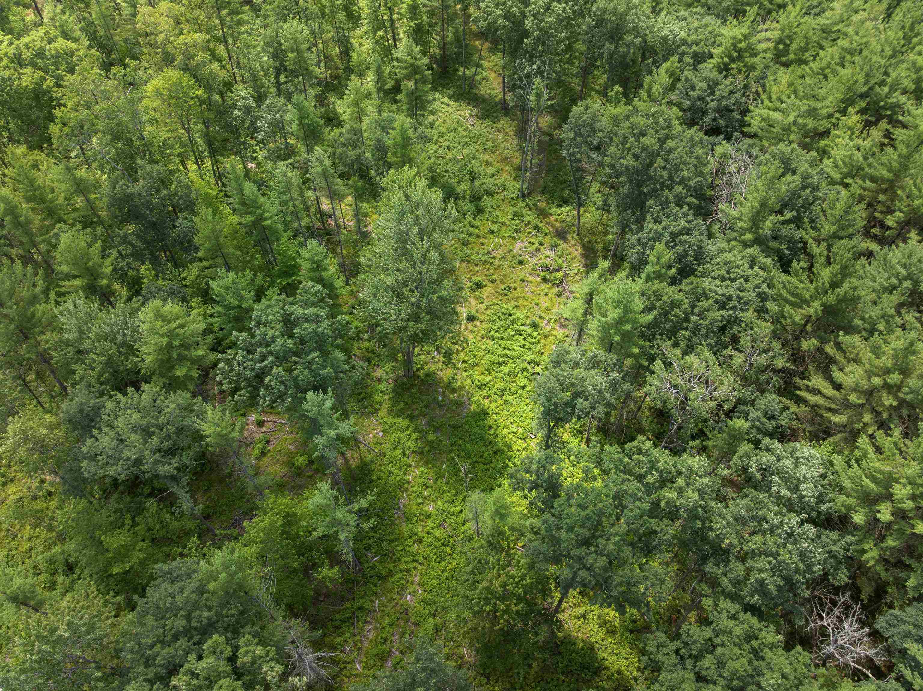 30 Acres W 48 1/2 Road