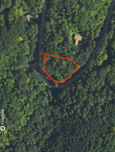 Lot 57 Valley Run Custer Township MI 49615