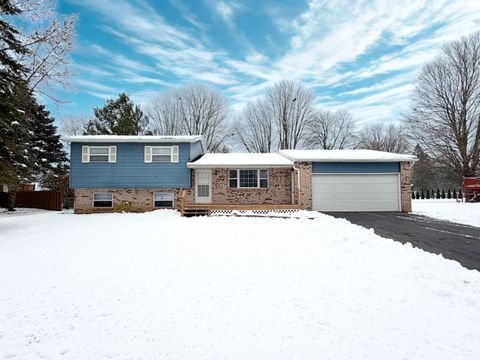 10414 Ataberry Drive Vienna Charter Township MI 48420