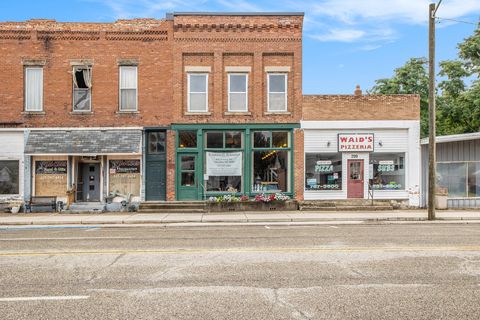 Tiny photo for 207 Main Street, Tekonsha Village, MI 49092 (MLS # 62026005974)