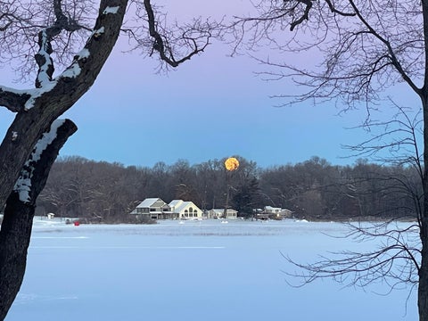 Tiny photo for 29116 Cedarama Drive, Porter Township, MI 49067 (MLS # 69026045924)