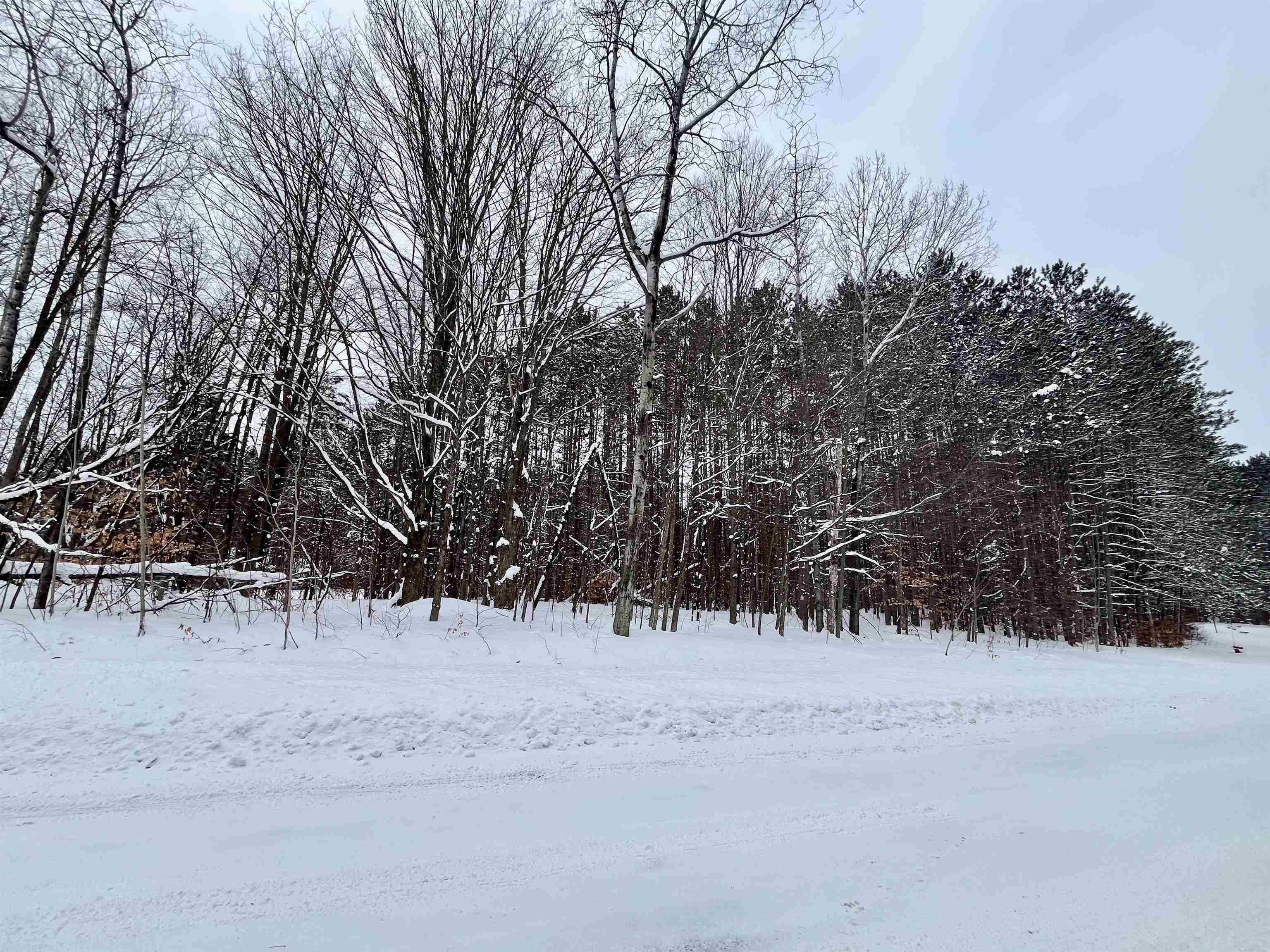 V/L 12 Schuss Mountain Drive