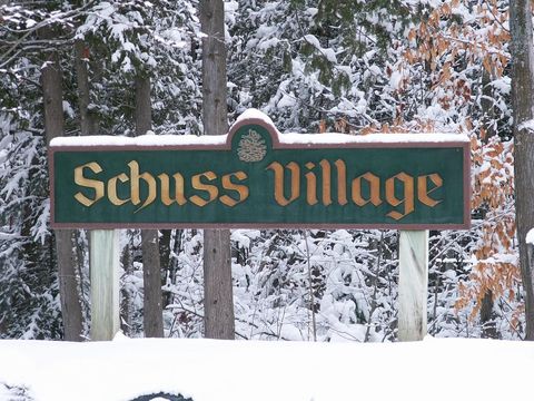 V/L 12 Schuss Mountain Drive Custer Township MI 49615