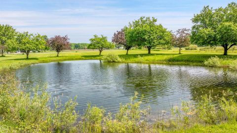 13533 Hough Road Berlin Township MI 48002