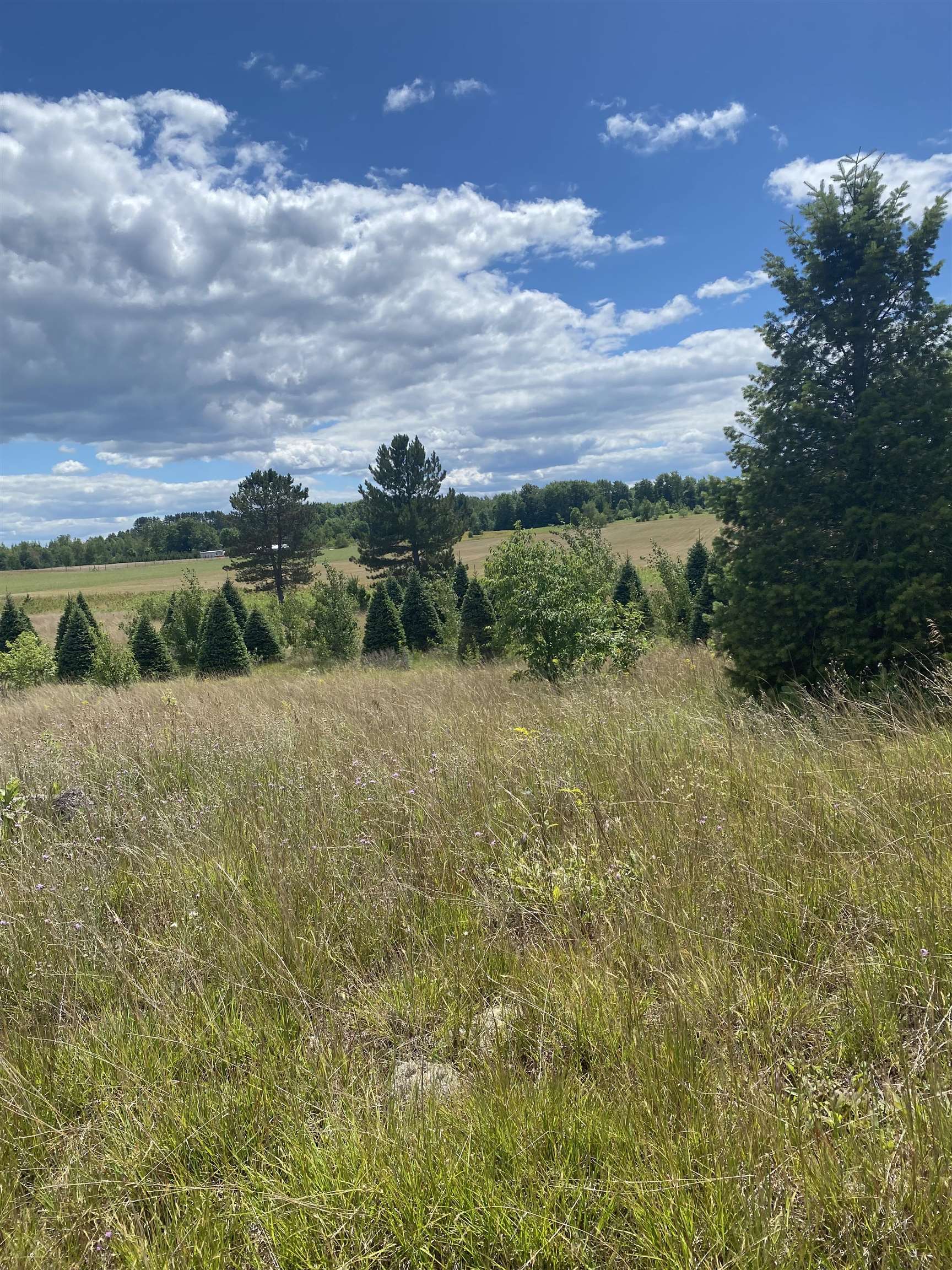 17.5 A Creighton Road