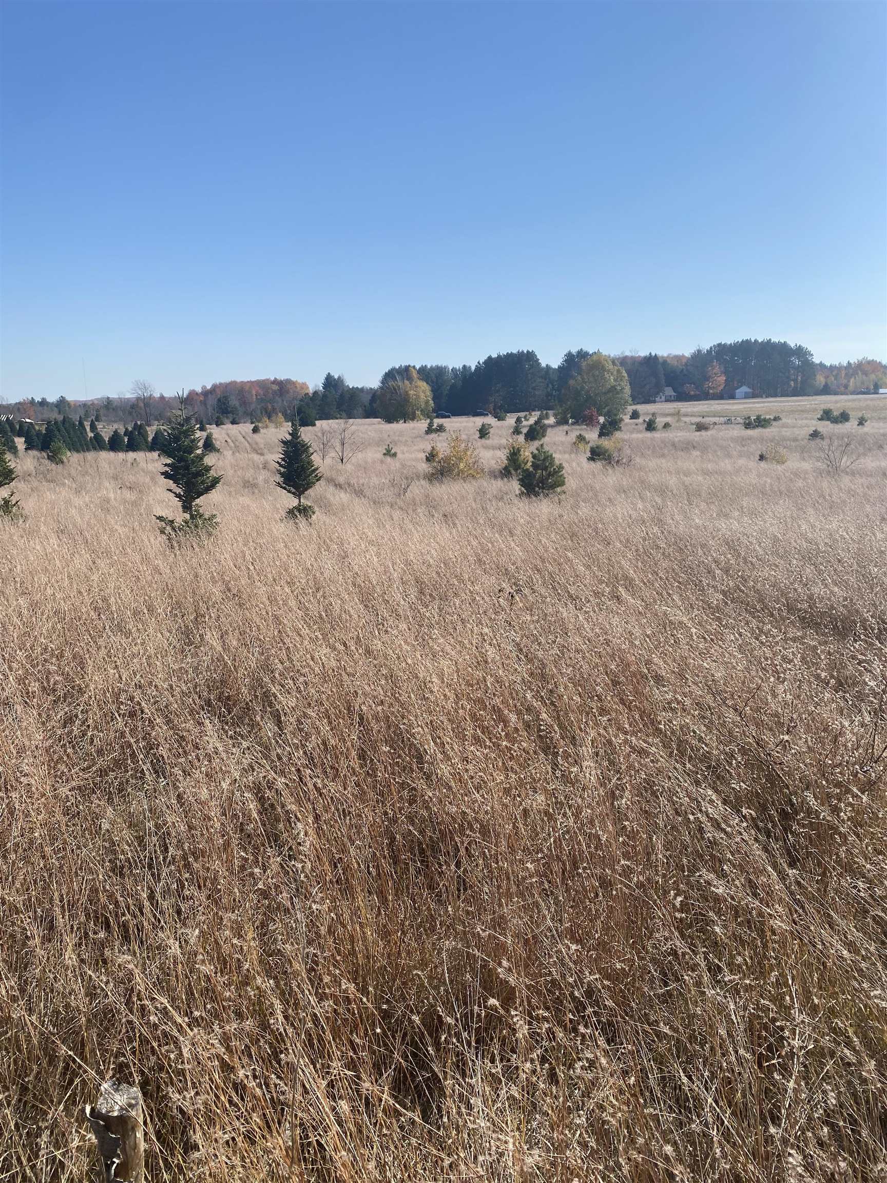 17.5 A Creighton Road