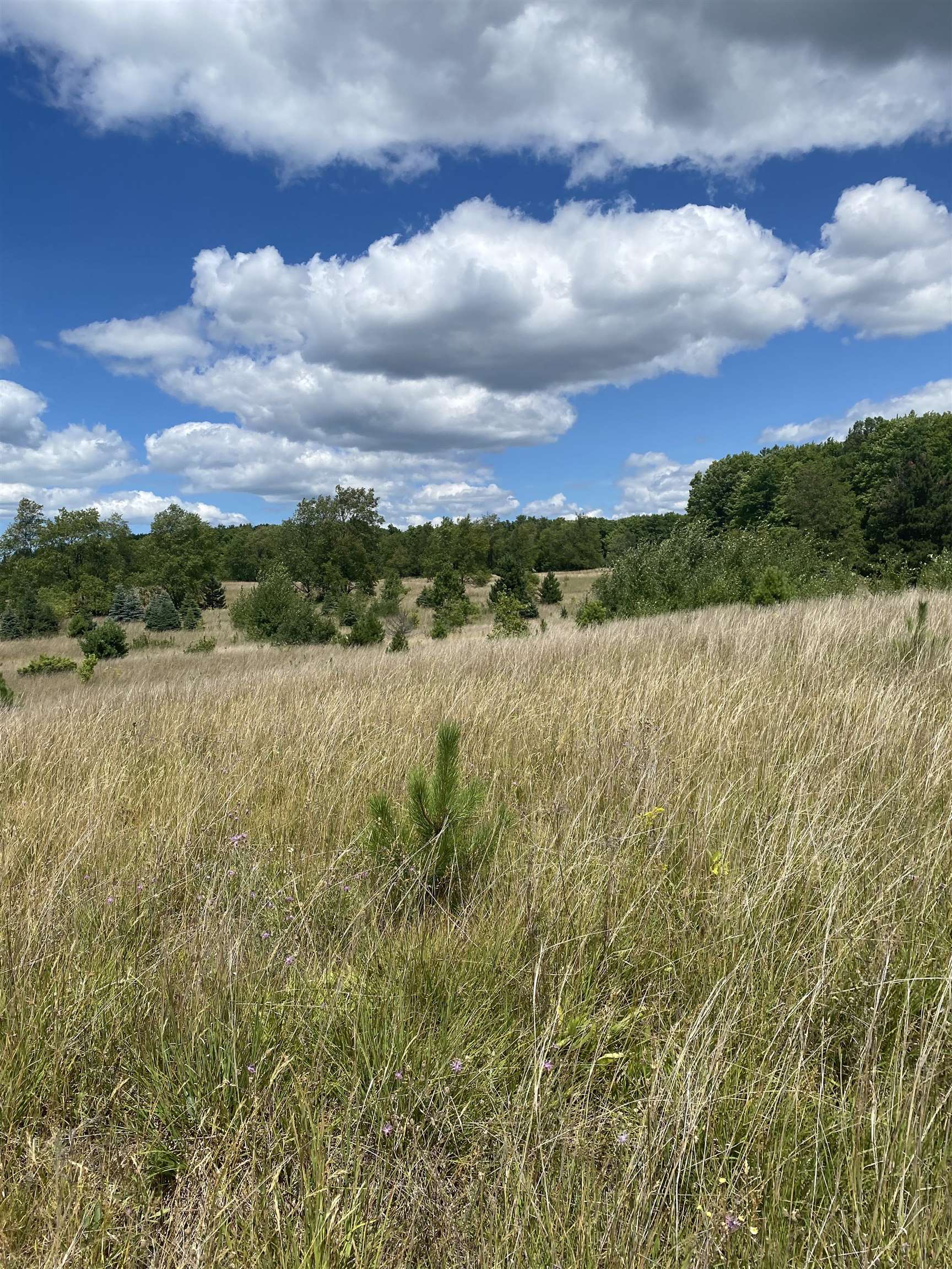 17.5 A Creighton Road