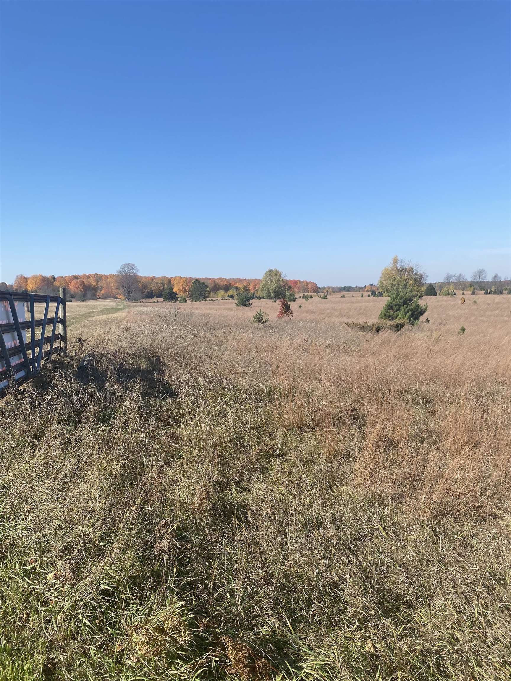 17.5 A Creighton Road