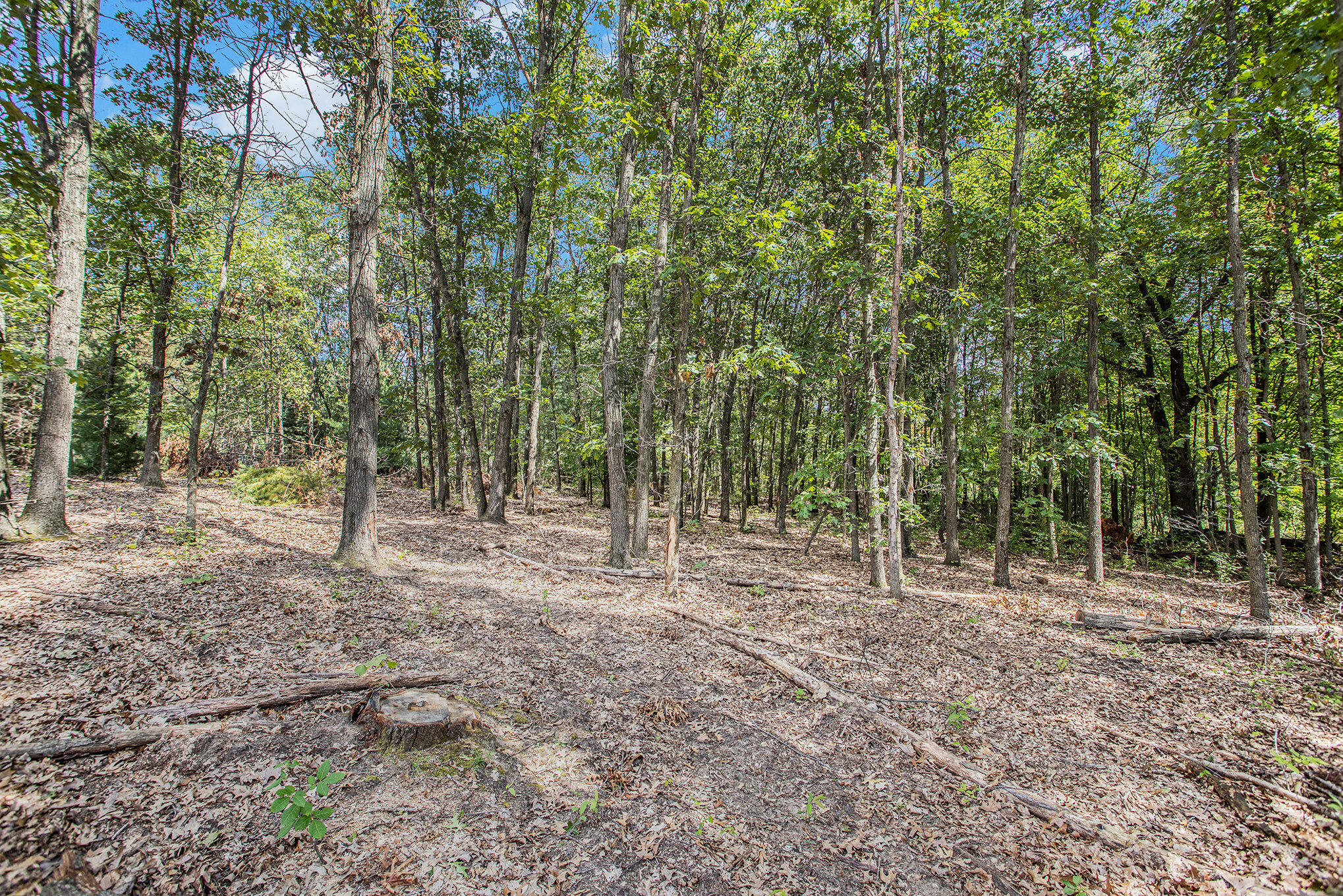 Emmett Charter Township, Michigan 49014, United States, ,Land,Active,216593