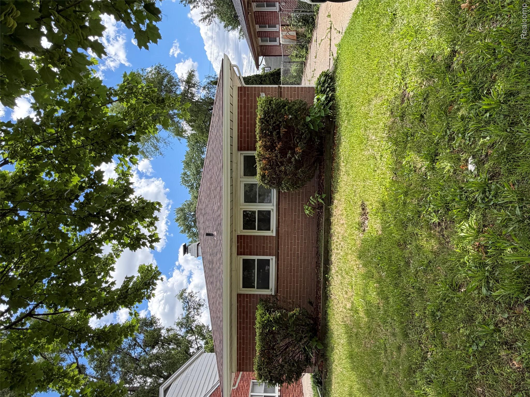 IMG_1084.jpeg