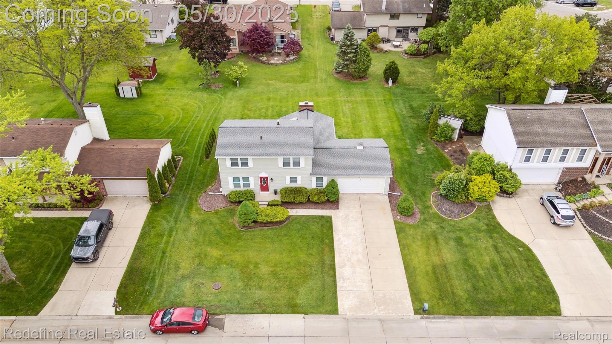 40409 Oak Tree