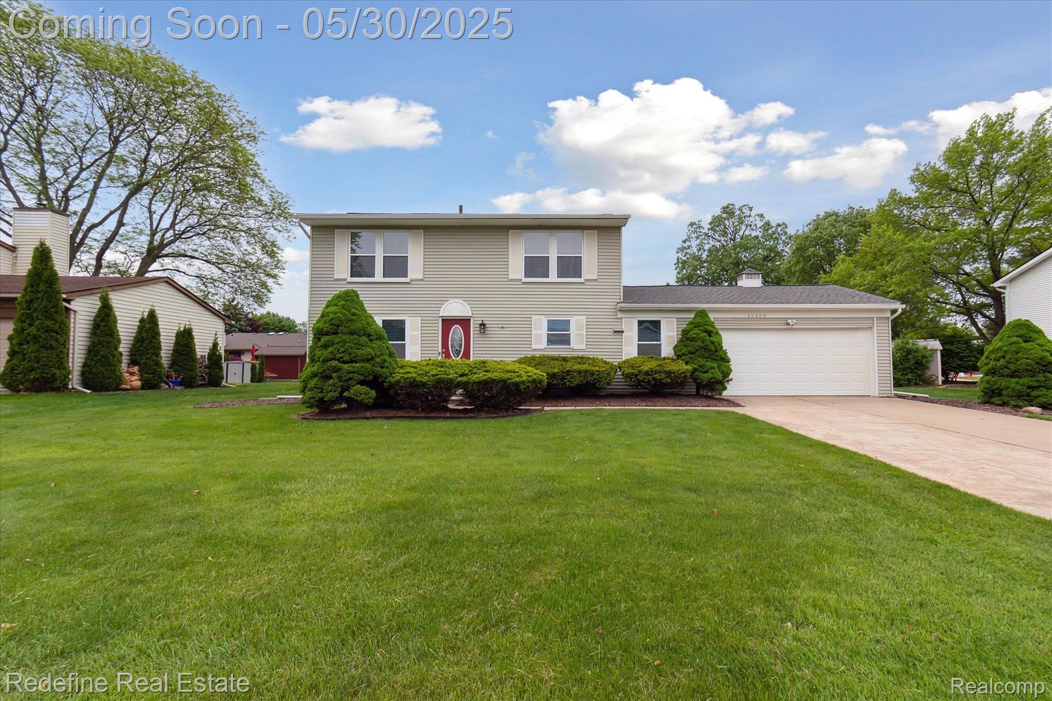 40409 Oak Tree