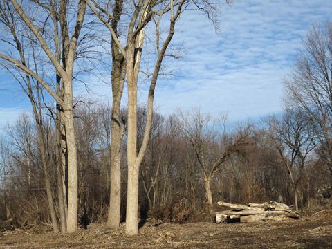 0 14 Mile Road Fraser City MI 48026