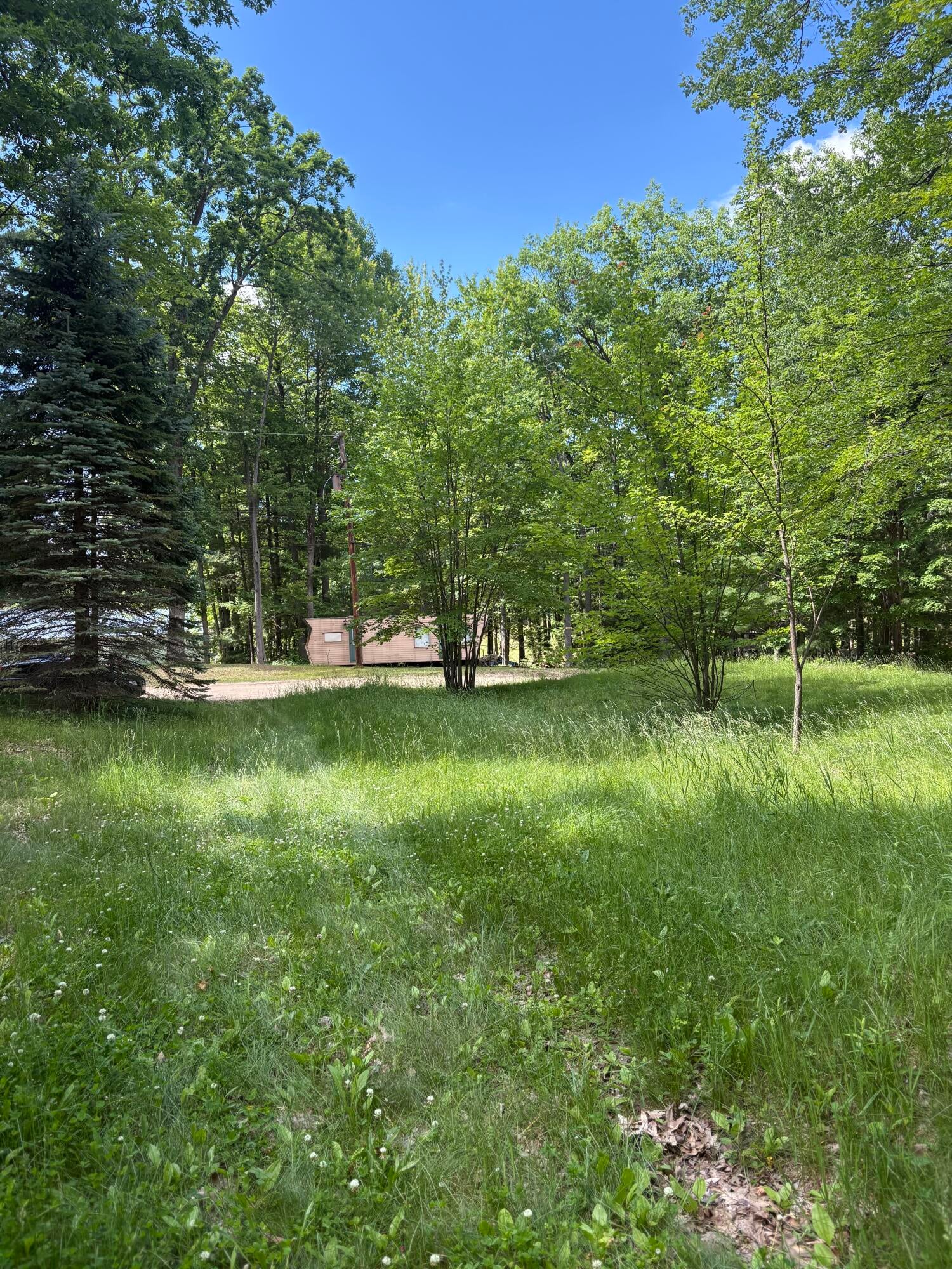 5339 Jerry Street
