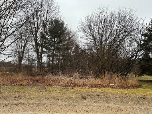N CEDAR RD, FOWLERVILLE, MI 48836 - Image 45d911daf30cc0e1118b5ca2e4e365d5/303794030