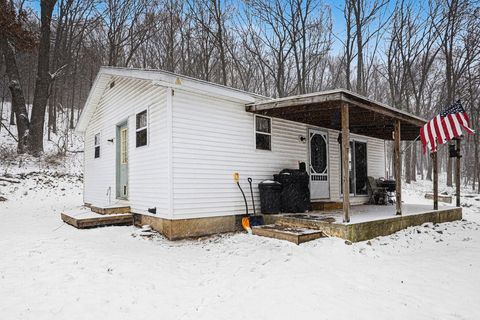 6757 Marsh Road Orangeville Township MI 49080