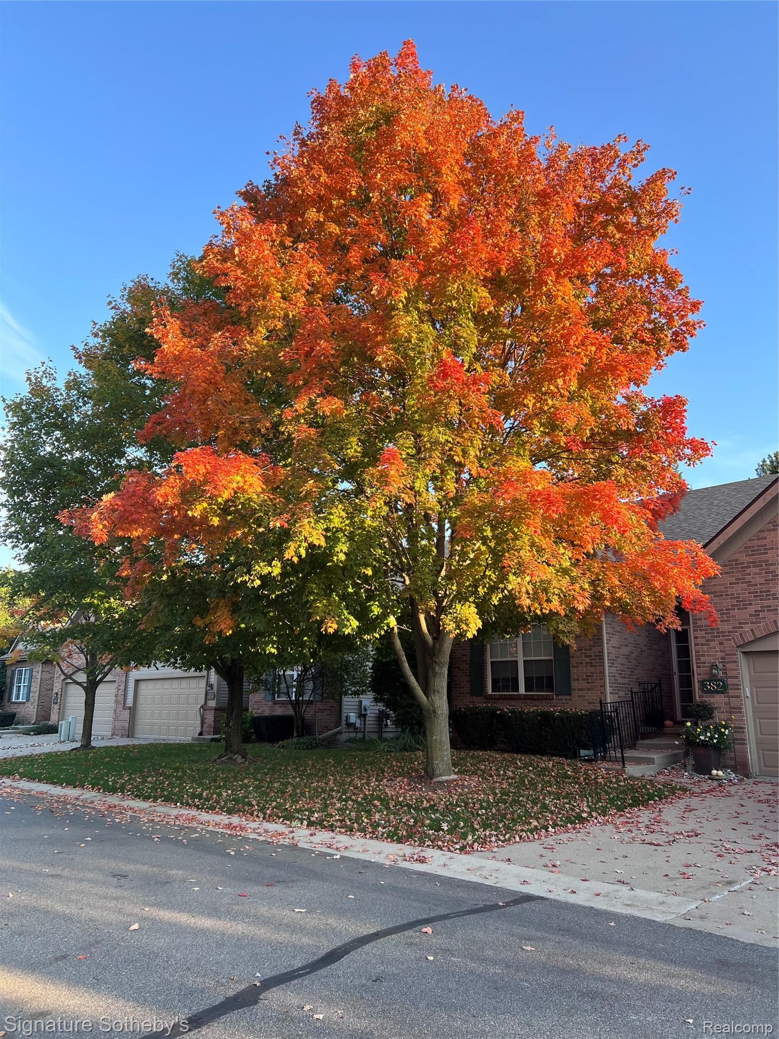 382 Winslow Circle 3