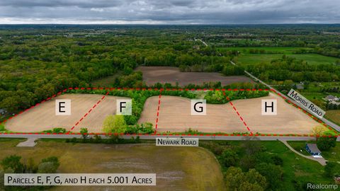 Lot F Newark Road Lapeer Township MI 48446