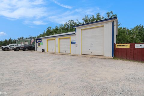 5557 N Red Oak Road Greenwood Township MI 49756