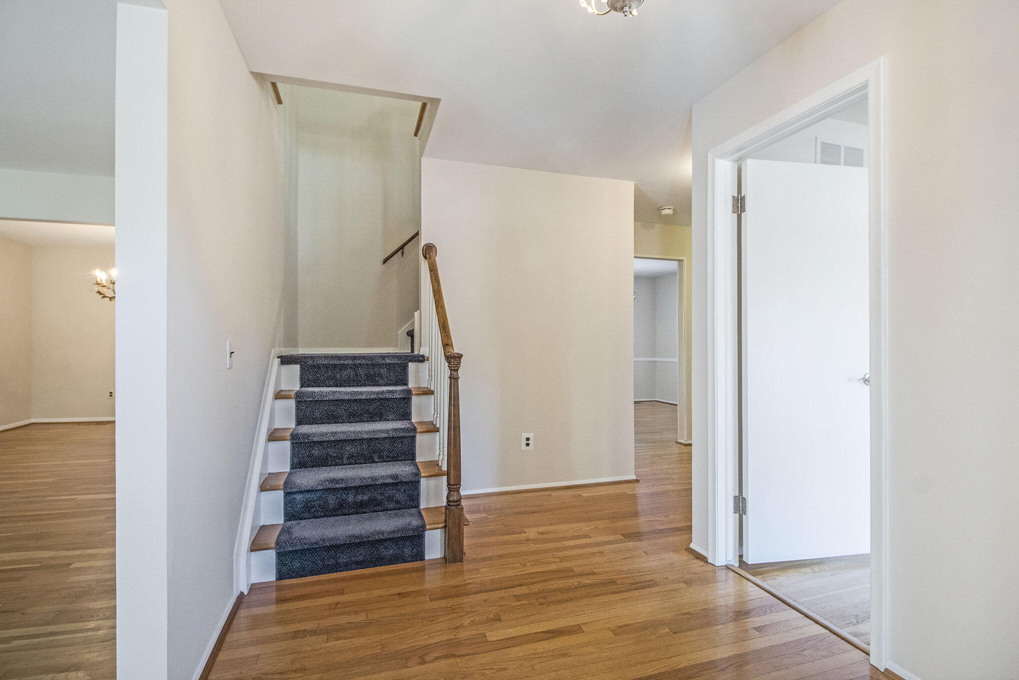 29342 New Bradford Drive