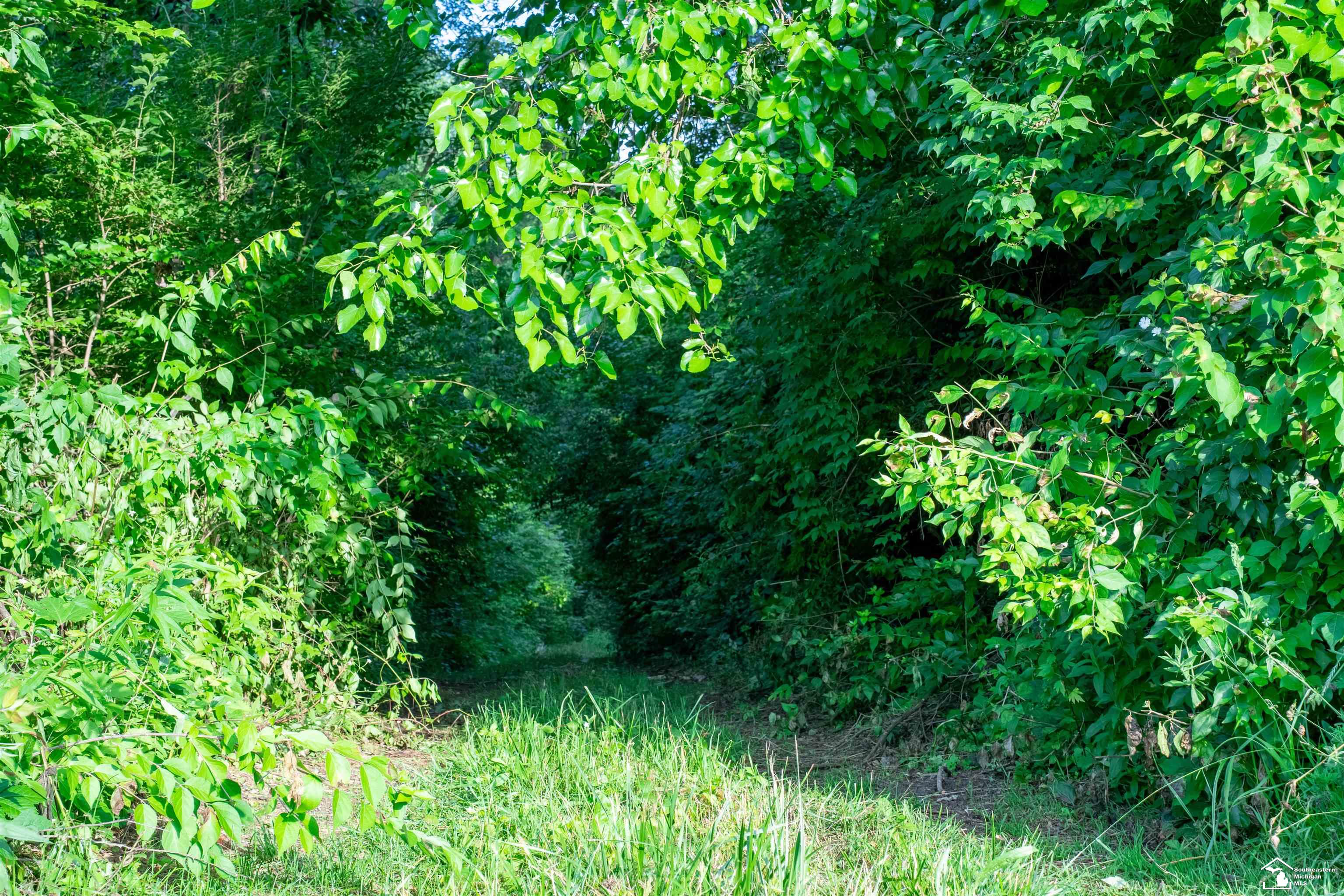 Parcel C Timbers Road