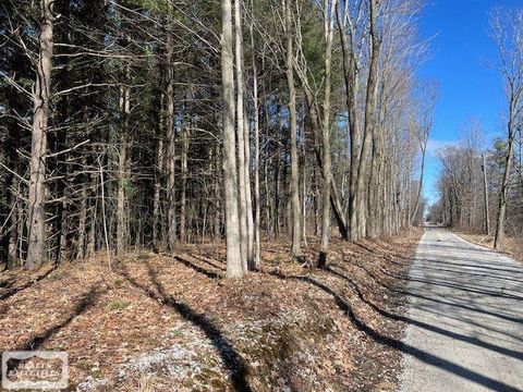 0 Burton Road Mussey Township MI 48014