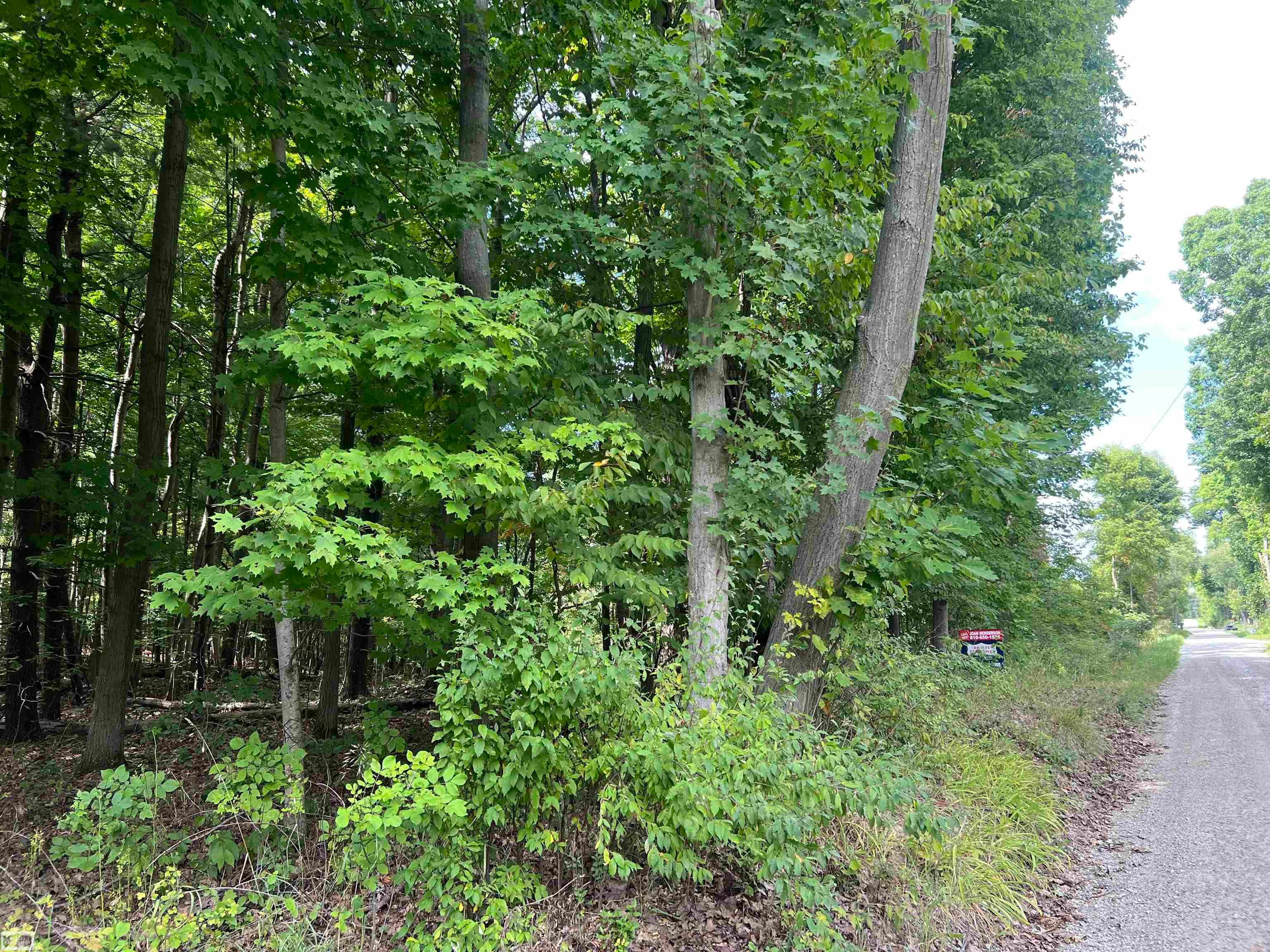 0 Burton Road