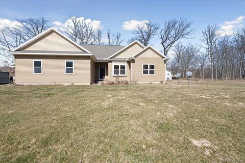 Photo of 4520 KATHERINA Z Place, Oceola Township, MI 48855 (MLS # 20261013534)