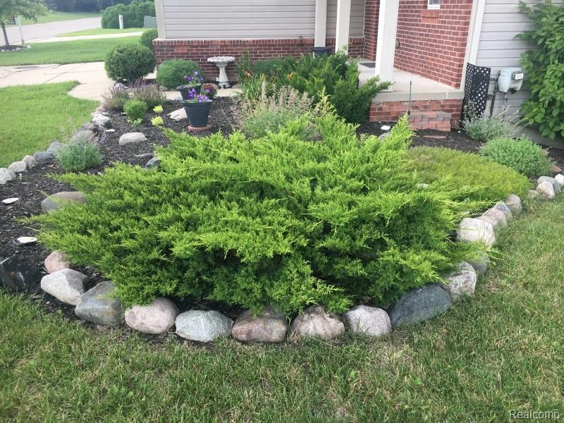 10105 EDGEWATER Trail