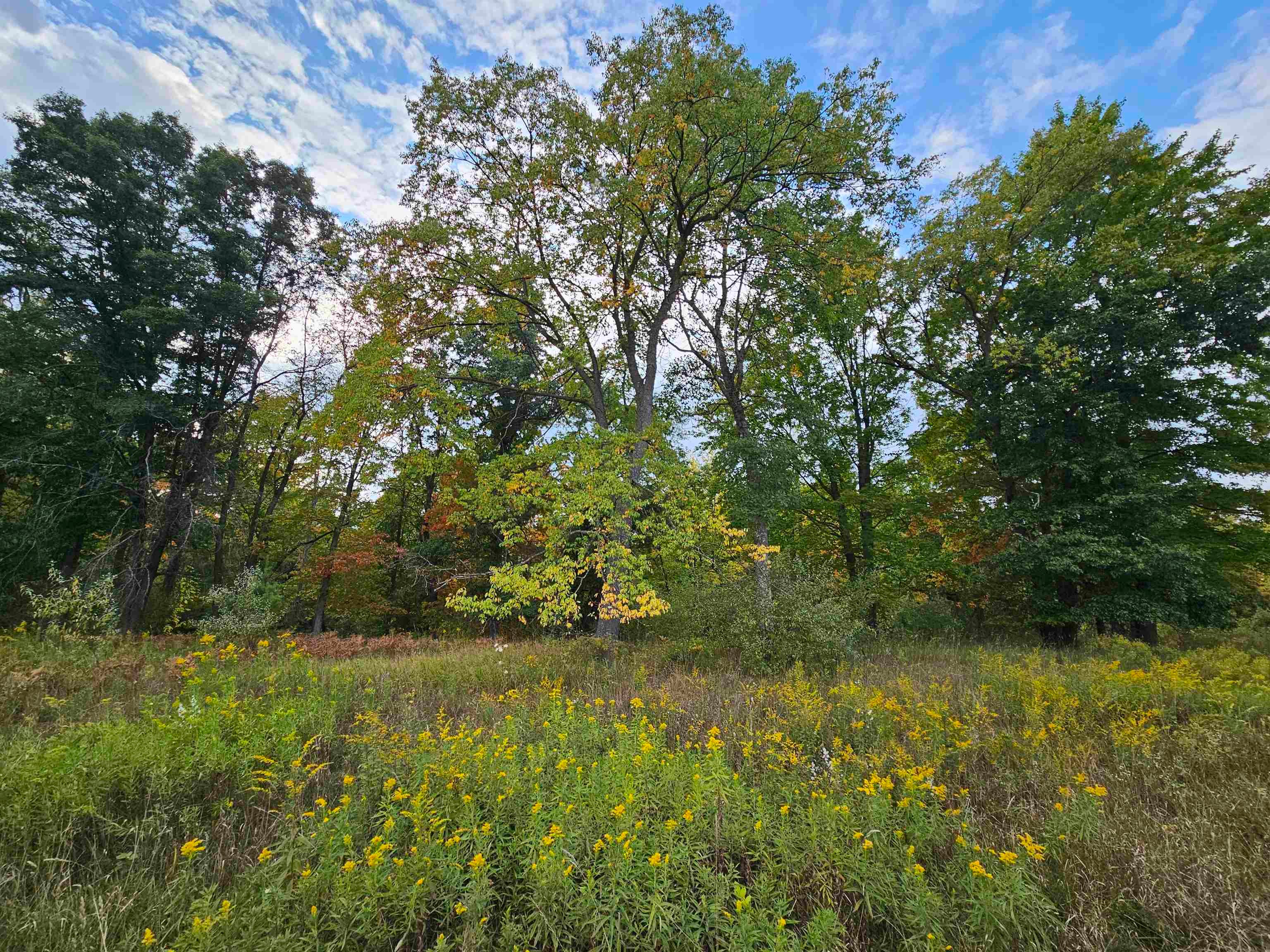 0 Twin Lake Road