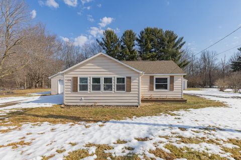 125 Edgewater Drive Leoni Township MI 49254