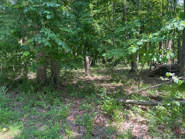 New Buffalo Township, Michigan 49117, United States, ,Land,Active,160157