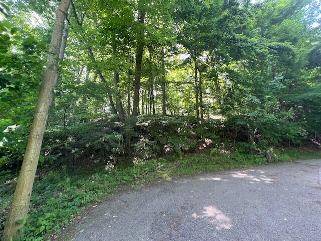 New Buffalo Township, Michigan 49117, United States, ,Land,Active,160157