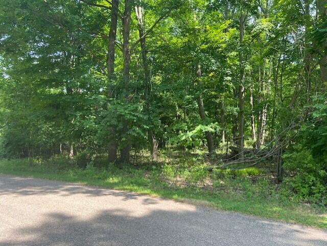 New Buffalo Township, Michigan 49117, United States, ,Land,Active,160157