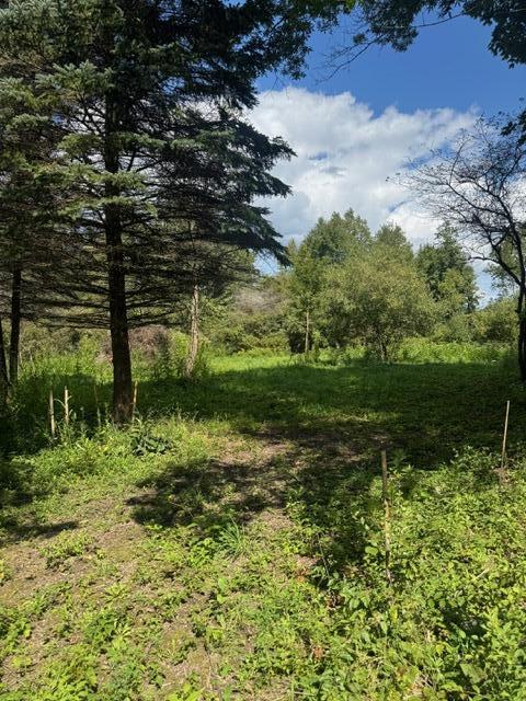 Parcel B Maple Grove