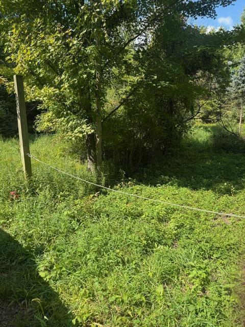 Parcel B Maple Grove